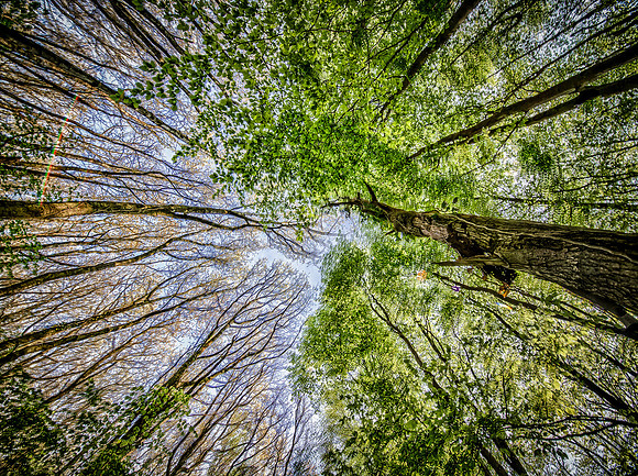 Looking up!