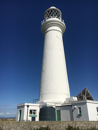 Flat Holm-13